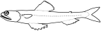 Synodontidae: Synodontinae