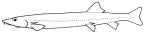 Gonorynchidae