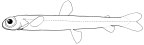 Microstomatidae
