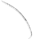 Nematode